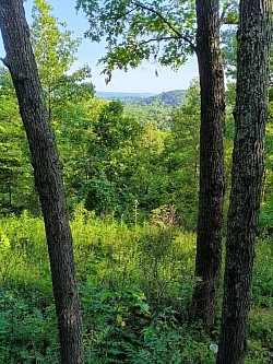 The vista out here!