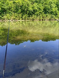 My view while fishing 🎣